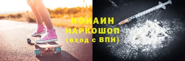 крисы Бронницы