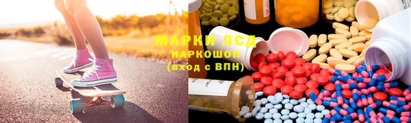 бошки Бородино