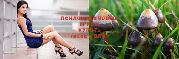 бошки Бородино