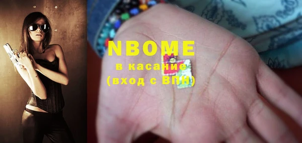 бошки Бородино