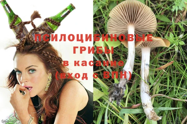 бошки Бородино