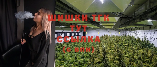 крисы Бронницы