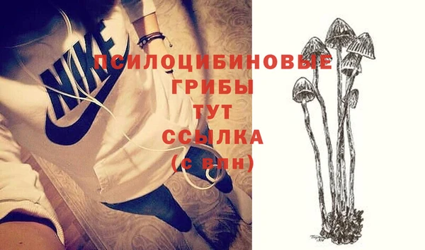 мяу мяу мука Белокуриха