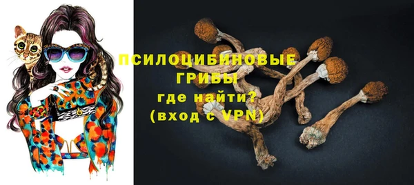 мяу мяу мука Белокуриха
