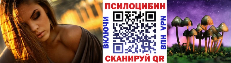 blacksprut зеркало  Зарайск  Псилоцибиновые грибы GOLDEN TEACHER 